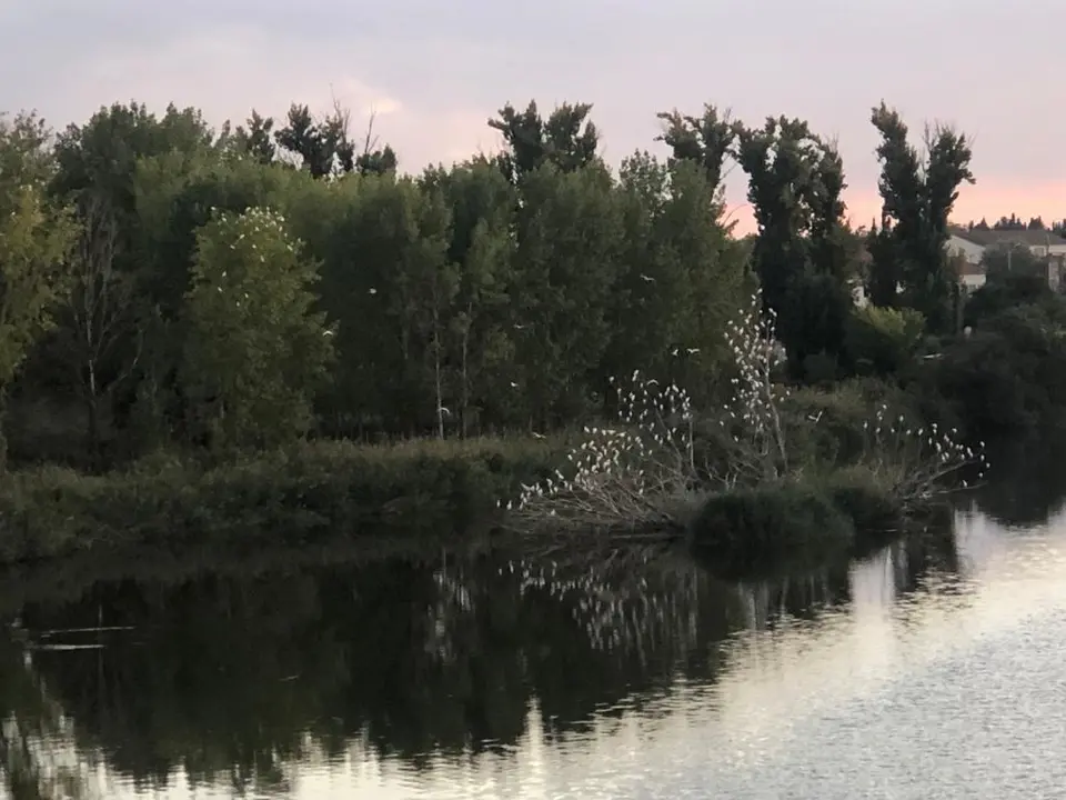 temperaturas