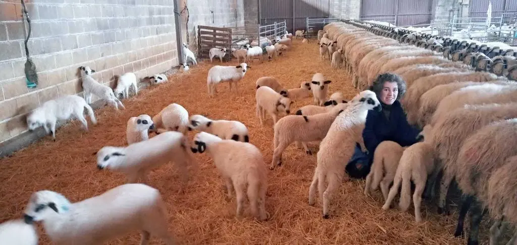 Ángeles trabajando en la explotación ganadera de la familia en Fariza