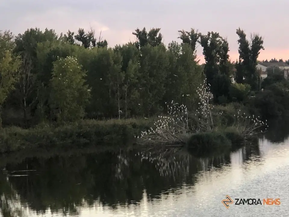 Río Duero