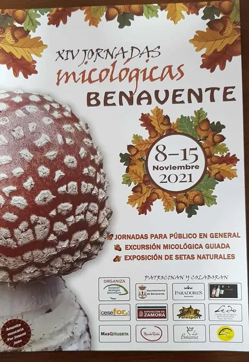 "XIV Jornadas Micológicas de Benavente"
