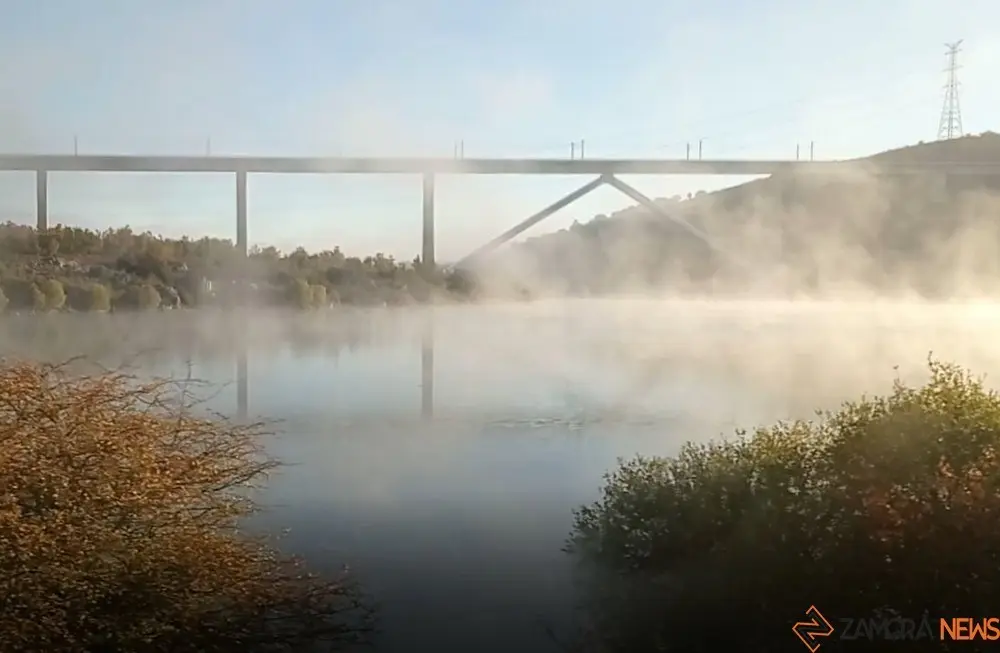 niebla