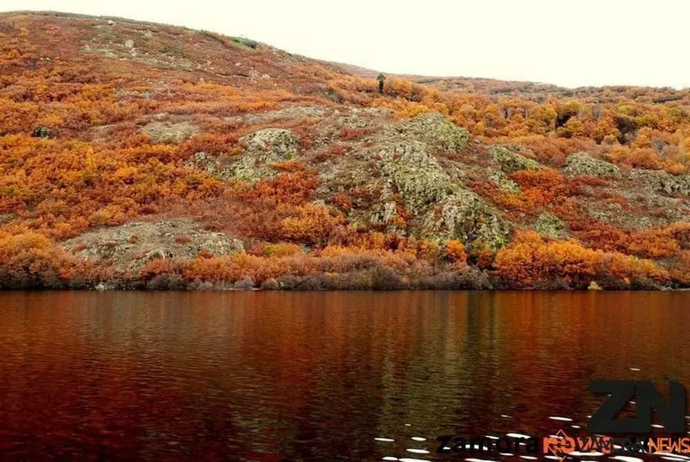 otoño sanabria (4)