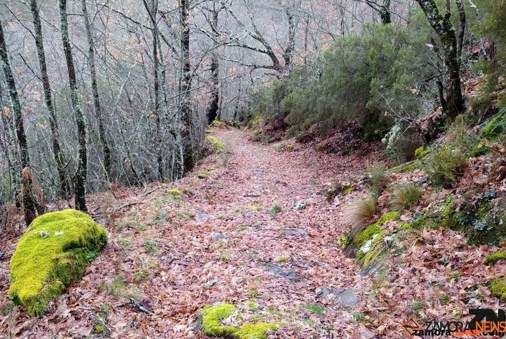 otoño sanabria (1)