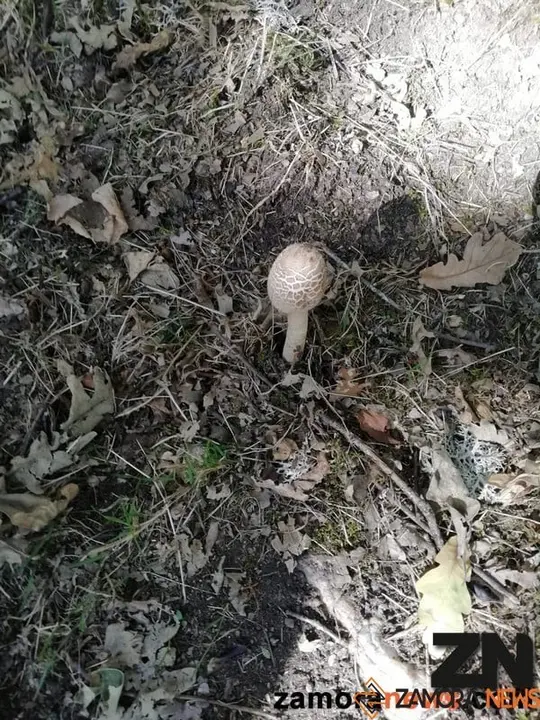 otoño sanabria (13)