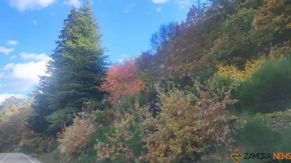 sanabria otoño (8)
