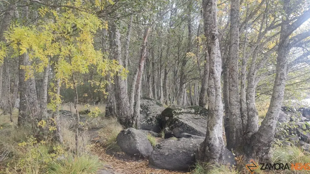 sanabria otoño (16)