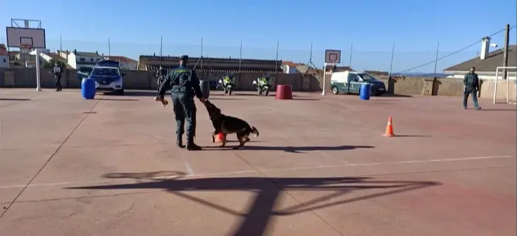 Exhibición de perros adiestrados en el CEIP Fermoselle