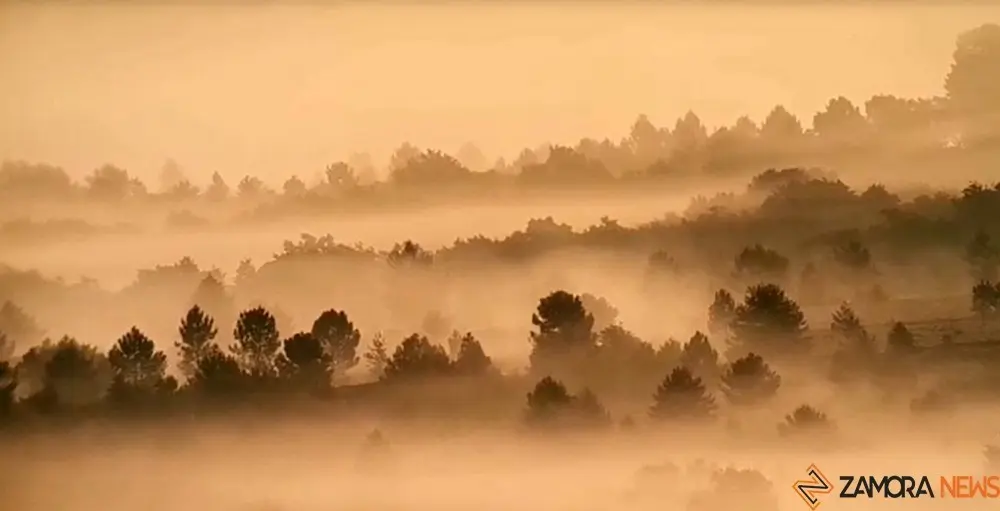 niebla monte