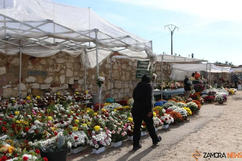 CEMENTERIO (6)