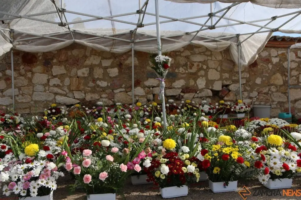 CEMENTERIO (1)