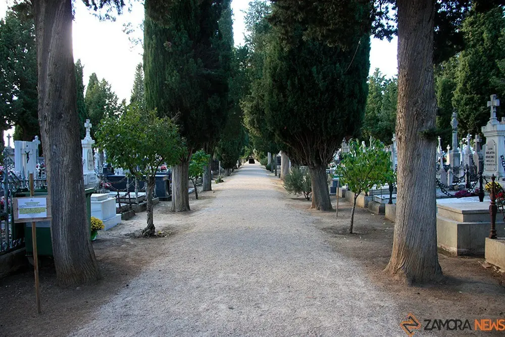 cementerio Toro (3)