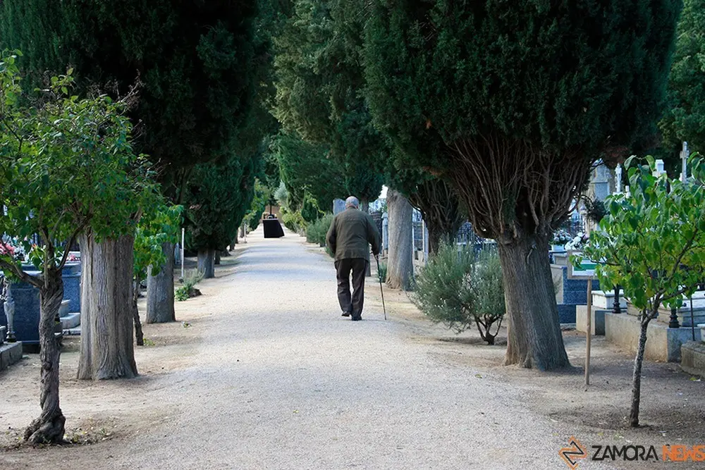 cementerio Toro  (13)