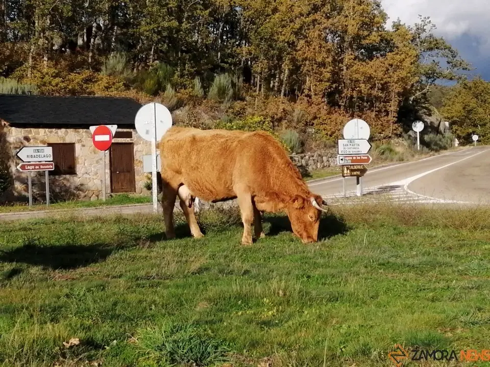 sanabria otoño visitantes (5)
