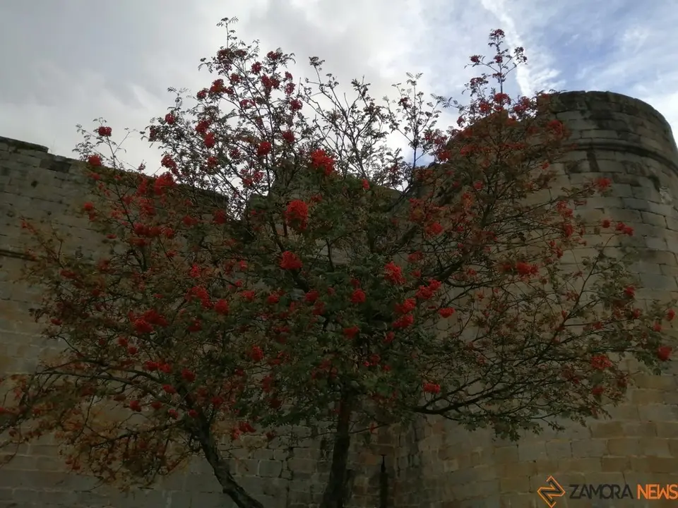 sanabria otoño visitantes (24)