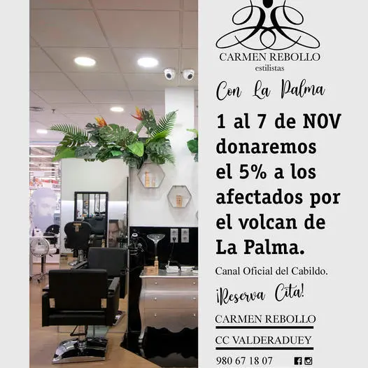 Carmen Rebollo solidaridad con La Palma