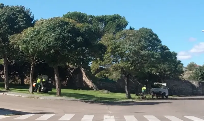 Operarios trabajando en los jardines de Zamora