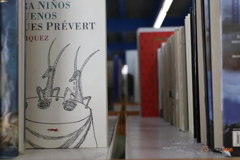 Nueva biblioteca en San José obrero (15)