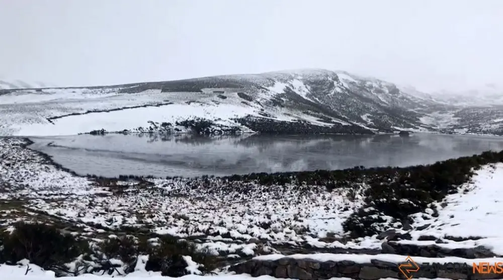 nieve