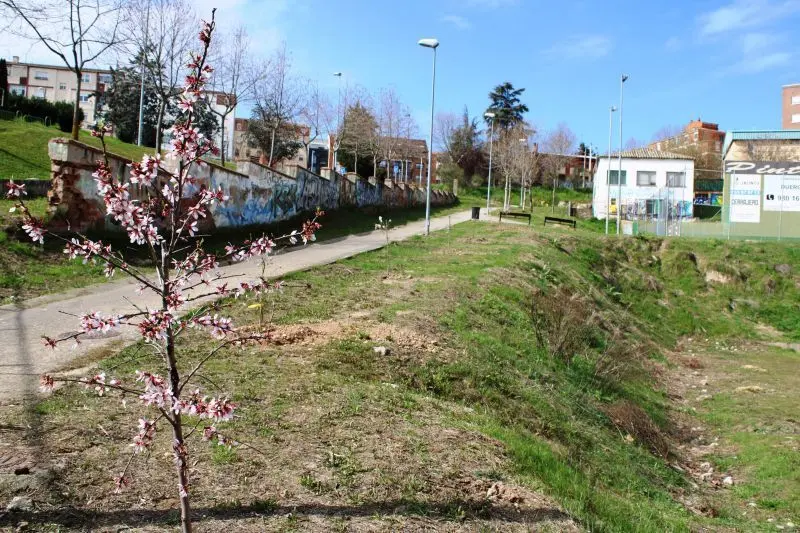 arboles