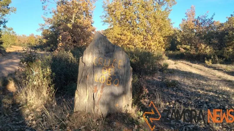 WhatsApp Image 2021-11-08 at 09.36.03 (1)