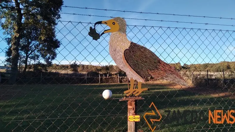 WhatsApp Image 2021-11-08 at 09.36.03