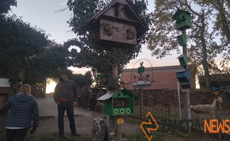 WhatsApp Image 2021-11-08 at 09.36.04 (1)