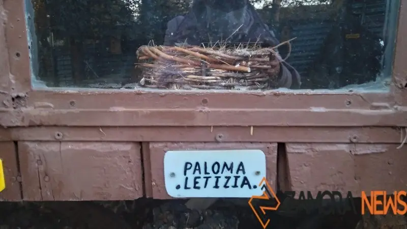 WhatsApp Image 2021-11-08 at 09.36.04 (2)