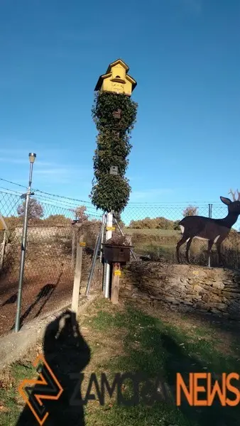 WhatsApp Image 2021-11-08 at 09.36.06 (1)