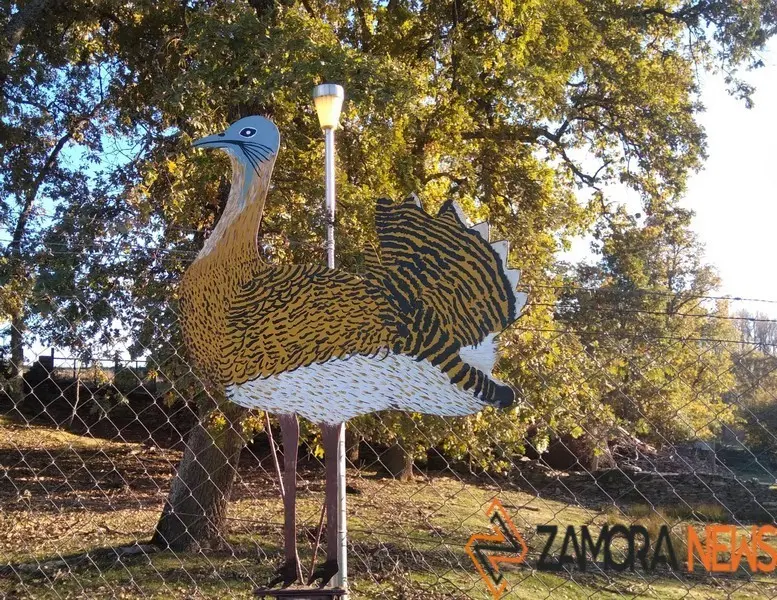 WhatsApp Image 2021-11-08 at 09.36.06