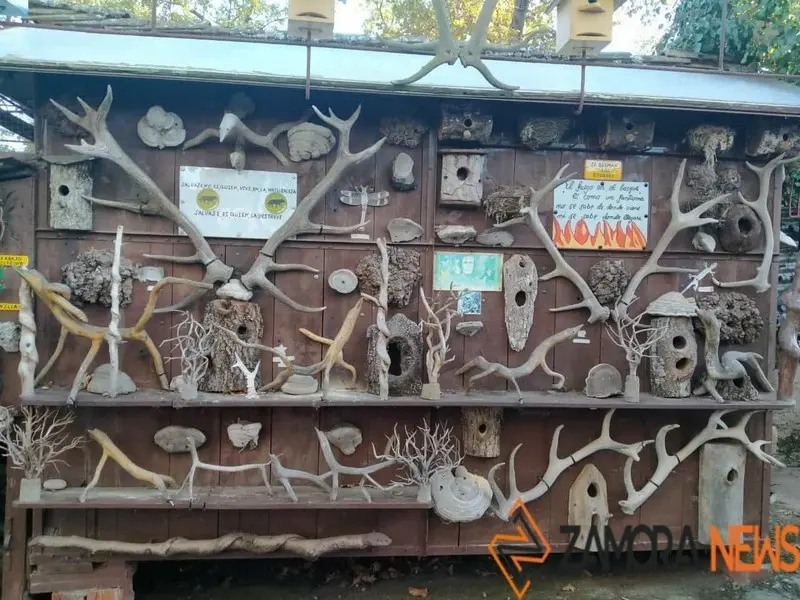 WhatsApp Image 2021-11-08 at 09.36.59 (2)