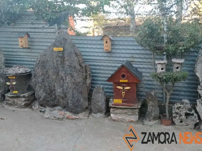 WhatsApp Image 2021-11-08 at 09.36.59 (3)