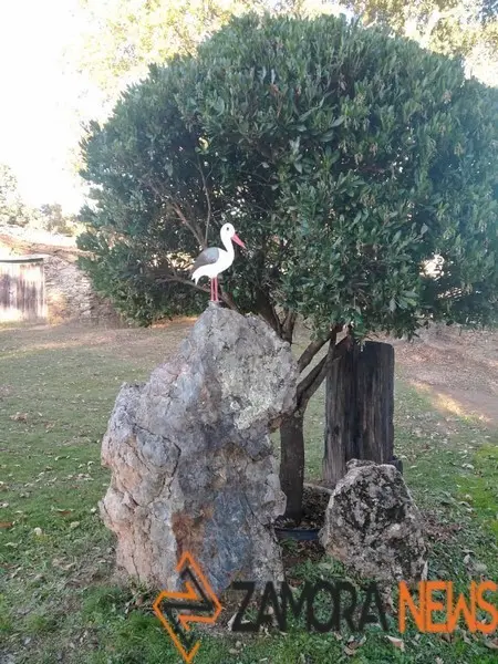 WhatsApp Image 2021-11-08 at 09.36.59 (4)