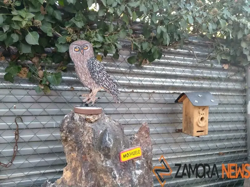 WhatsApp Image 2021-11-08 at 09.36.59 (5)