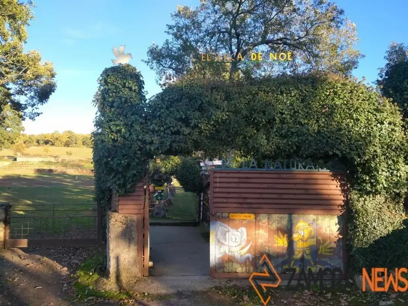 WhatsApp Image 2021-11-08 at 09.37.00 (1)