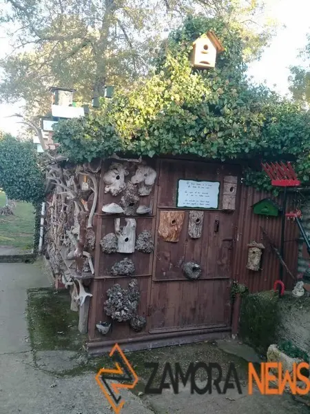 WhatsApp Image 2021-11-08 at 09.37.00 (3)