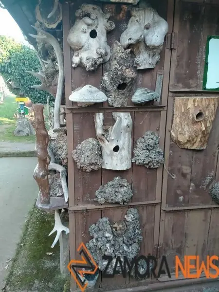 WhatsApp Image 2021-11-08 at 09.37.00 (5)