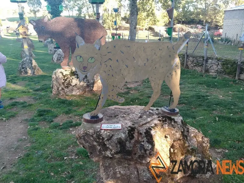 WhatsApp Image 2021-11-08 at 09.37.00