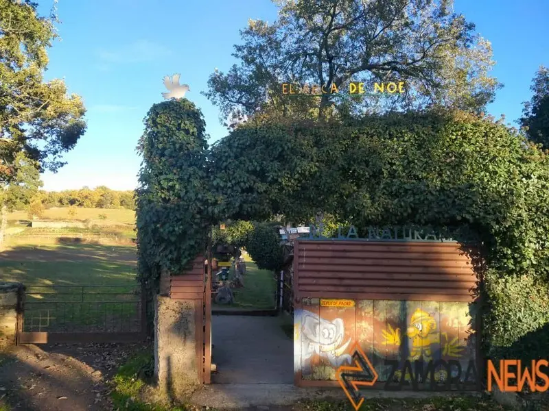 WhatsApp Image 2021-11-08 at 09.37.00 (4)