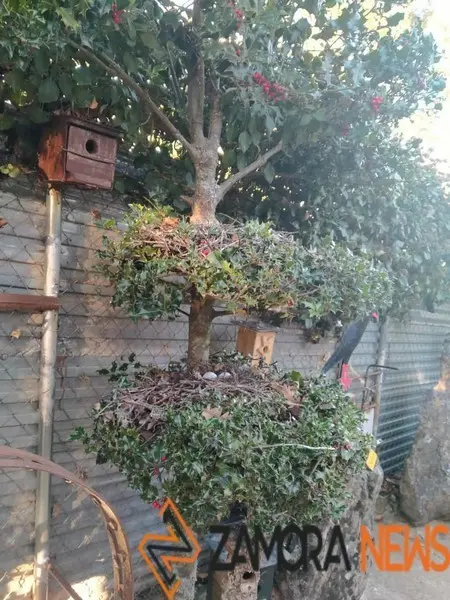 WhatsApp Image 2021-11-08 at 09.37.01 (1)