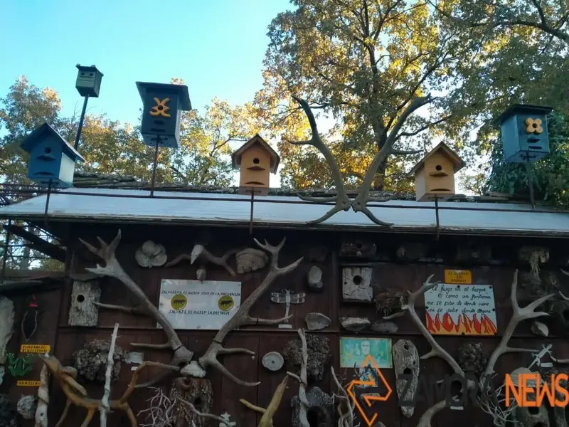 WhatsApp Image 2021-11-08 at 09.37.01 (2)