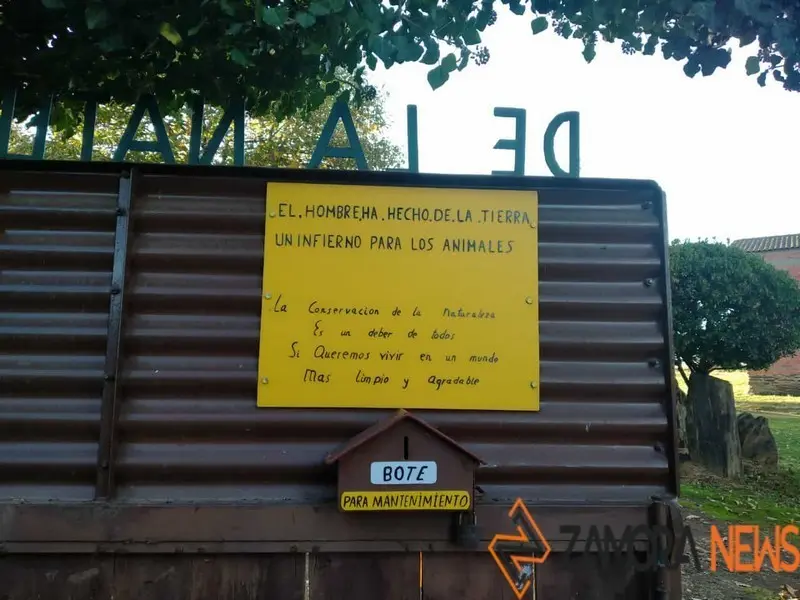 WhatsApp Image 2021-11-08 at 09.37.01 (3)