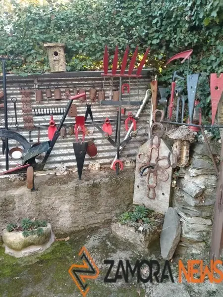 WhatsApp Image 2021-11-08 at 09.37.01 (5)