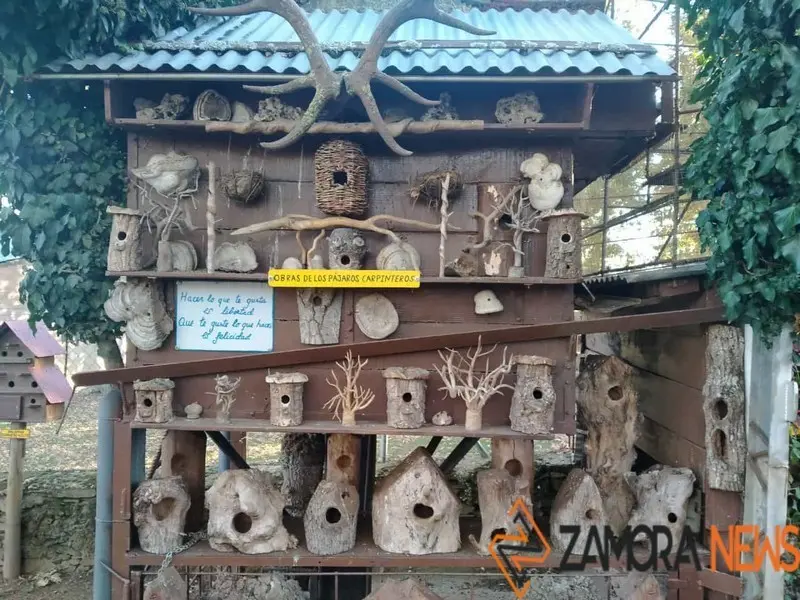 WhatsApp Image 2021-11-08 at 09.37.01