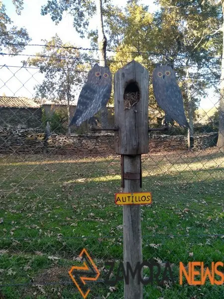 WhatsApp Image 2021-11-08 at 09.37.01 (4)