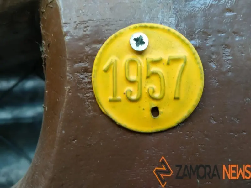 WhatsApp Image 2021-11-08 at 09.37.02 (1)