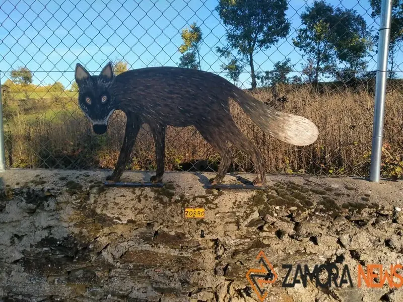 WhatsApp Image 2021-11-08 at 09.37.02 (2)