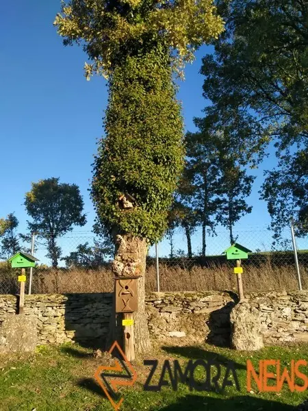 WhatsApp Image 2021-11-08 at 09.37.02 (3)