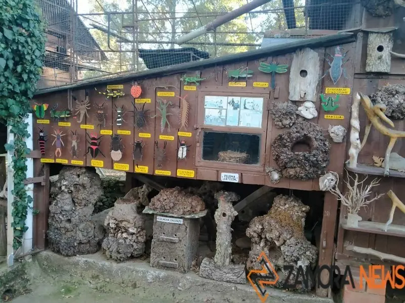 WhatsApp Image 2021-11-08 at 09.37.02