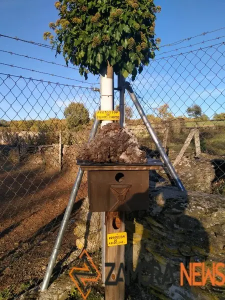 WhatsApp Image 2021-11-08 at 09.37.03 (1)