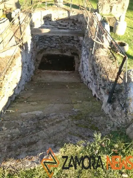 WhatsApp Image 2021-11-08 at 09.37.03 (2)